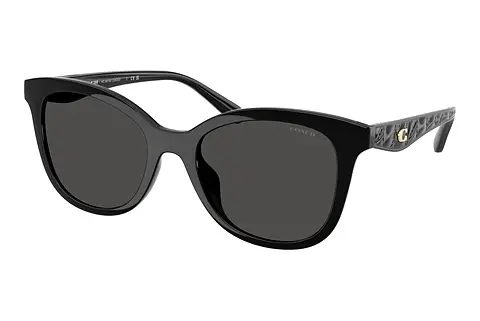 Sonnenbrille Coach CAD25 (HC8419U 500287)