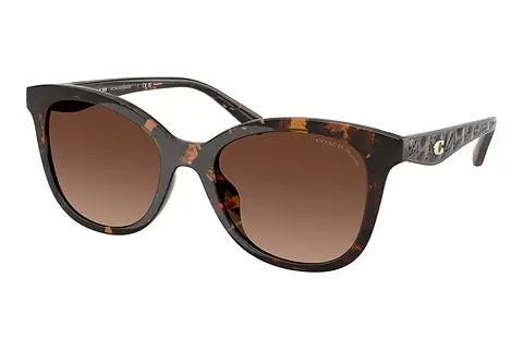 Sonnenbrille Coach CAD25 (HC8419U 5120T5)