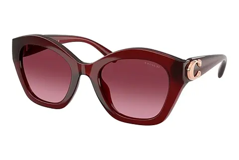 Sonnenbrille Coach CAD31 (HC8421U 58708H)