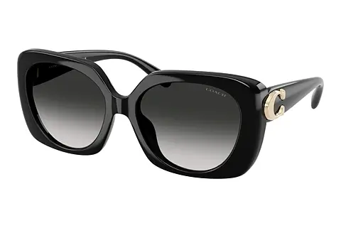 Sonnenbrille Coach CAD33 (HC8422U 50023C)
