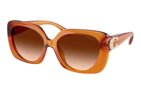 Sonnenbrille Coach CAD33 (HC8422U 564774)