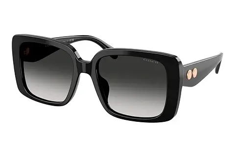 Sonnenbrille Coach CAD54 (HC8424U 50023C)