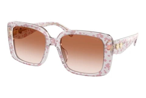 Sonnenbrille Coach CAD54 (HC8424U 595313)