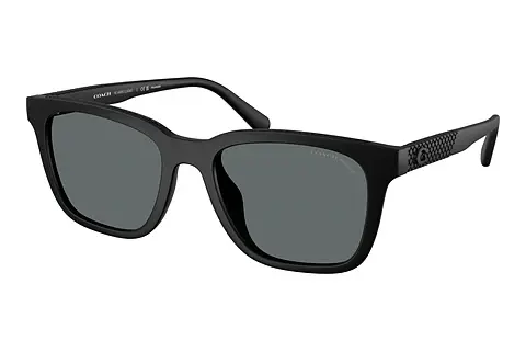 Sonnenbrille Coach CAD81 (HC8426U 500281)