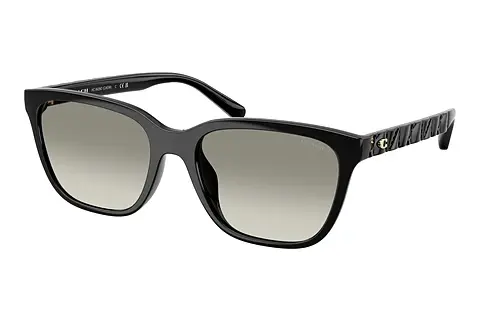 Sonnenbrille Coach CAE86 (HC8429D 50023C)
