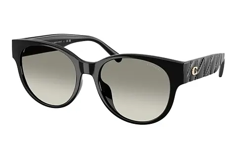 Sonnenbrille Coach CAE87 (HC8430D 50023C)