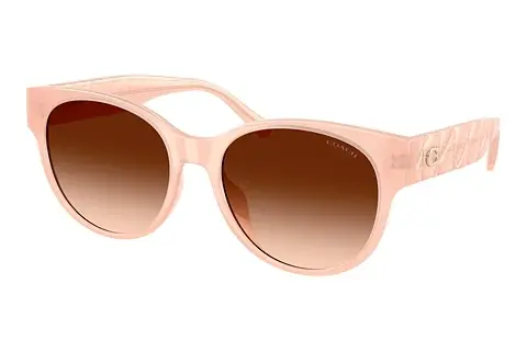 Sonnenbrille Coach CAE87 (HC8430D 511374)