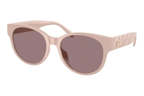 Sonnenbrille Coach CAE87 (HC8430D 59507N)