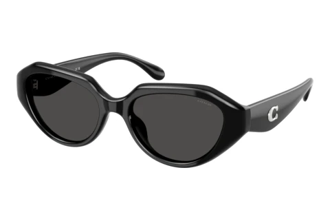 Sonnenbrille Coach CBY77 (HC8433U 500287)