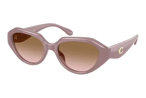Sonnenbrille Coach CBY77 (HC8433U 549511)