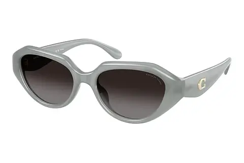 Sonnenbrille Coach CBY77 (HC8433U 5905T3)