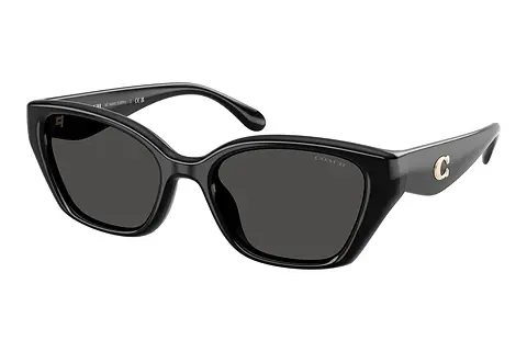 Sonnenbrille Coach CBY91 (HC8434U 500287)
