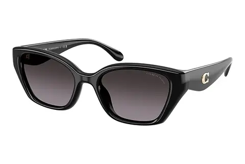Sonnenbrille Coach CBY91 (HC8434U 5002F4)