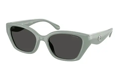 Sonnenbrille Coach CBY91 (HC8434U 592487)