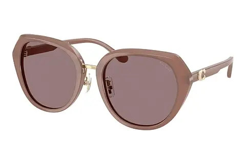 Sonnenbrille Coach CBY93 (HC8436 54957N)