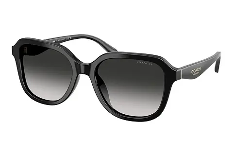 Sonnenbrille Coach CBY87 (HC8437U 50023C)