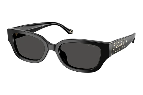 Sonnenbrille Coach CBZ52 (HC8439U 500287)