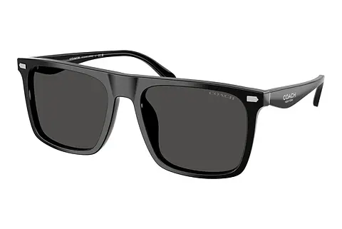 Sonnenbrille Coach CBY95 (HC8440U 500287)