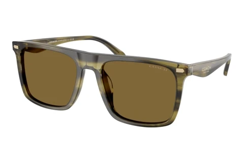 Sonnenbrille Coach CBY95 (HC8440U 5907S7)