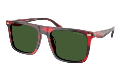 Sonnenbrille Coach CBY95 (HC8440U 590871)