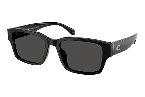 Sonnenbrille Coach CBY96 (HC8441U 500287)