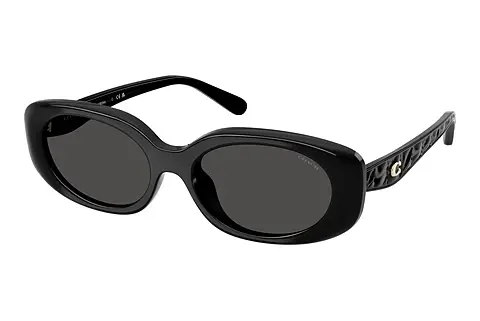 Sonnenbrille Coach CBY84 (HC8443D 500287)