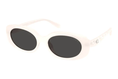 Sonnenbrille Coach CBY84 (HC8443D 579087)