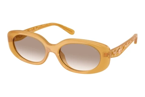 Sonnenbrille Coach CBY84 (HC8443D 591313)