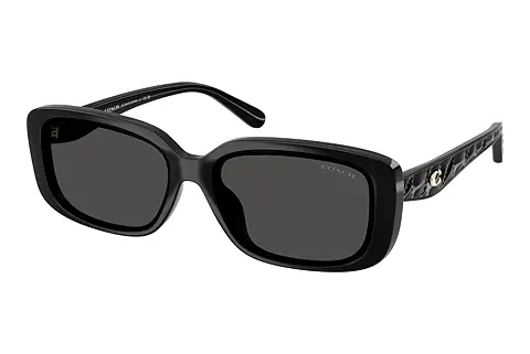 Sonnenbrille Coach CBY86 (HC8444D 500287)