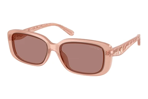 Sonnenbrille Coach CBY86 (HC8444D 591473)