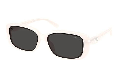 Sonnenbrille Coach CBY86 (HC8444D 592787)