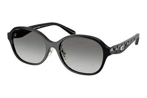Sonnenbrille Coach CBY85 (HC8445D 500211)