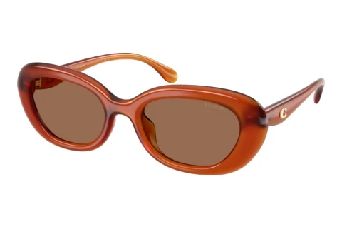 Sonnenbrille Coach CDP35 (HC8448U 593073)