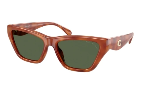 Sonnenbrille Coach CDP33 (HC8449U 57749A)