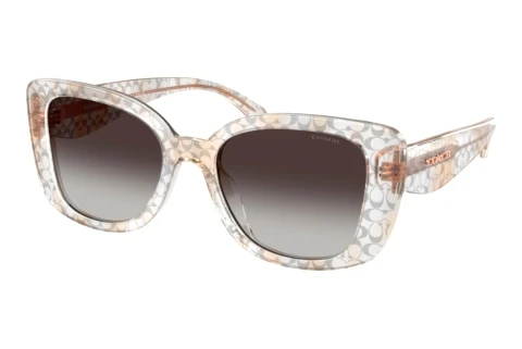 Sonnenbrille Coach CDP48 (HC8450U 59328G)