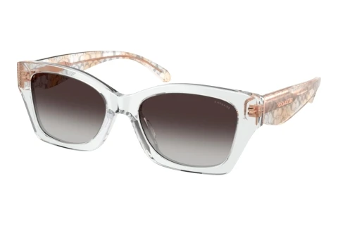 Sonnenbrille Coach CDP49 (HC8451U 59358G)