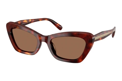 Sonnenbrille Coach CDP52 (HC8452U 593873)