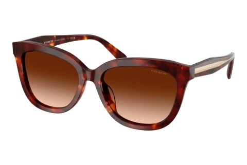 Sonnenbrille Coach CDP53 (HC8453U 593874)