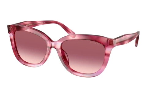 Sonnenbrille Coach CDP53 (HC8453U 59417W)