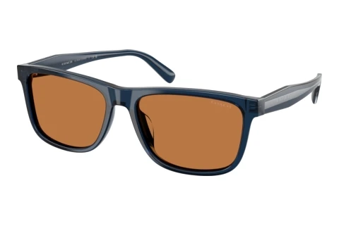 Sonnenbrille Coach CDP55 (HC8454U 575773)