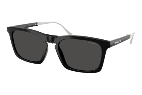 Sonnenbrille Coach CDP54 (HC8455 500287)