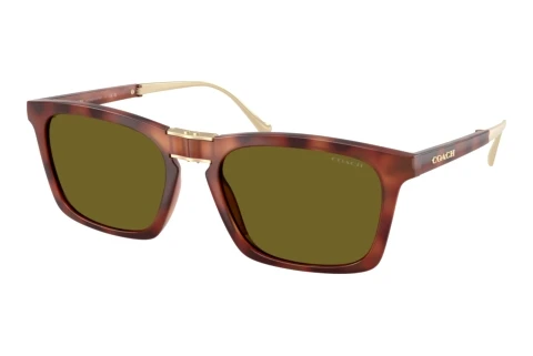 Sonnenbrille Coach CDP54 (HC8455 5774/2)