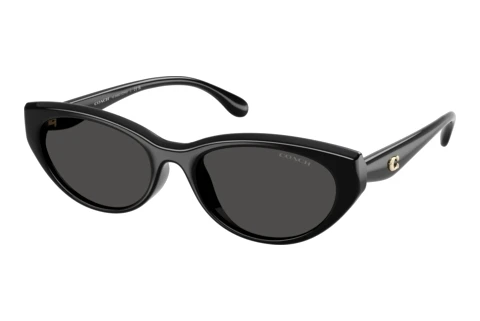 Sonnenbrille Coach CDP42 (HC8456D 500287)