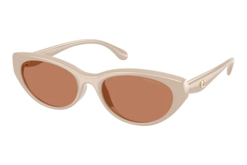 Sonnenbrille Coach CDP42 (HC8456D 58843)