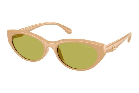 Sonnenbrille Coach CDP42 (HC8456D 5929/2)
