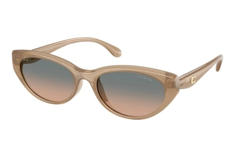 Sonnenbrille Coach CDP42 (HC8456D 594413)