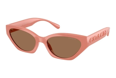 Sonnenbrille Coach CFT83 (HC8459U 595573)