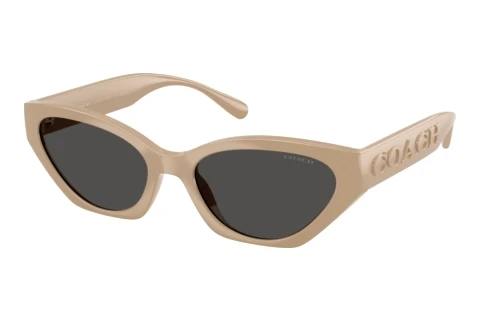 Sonnenbrille Coach CFT83 (HC8459U 595687)