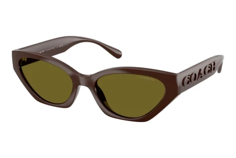 Sonnenbrille Coach CFT83 (HC8459U 5957/2)