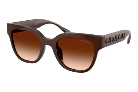 Sonnenbrille Coach CFT88 (HC8460U 595774)
